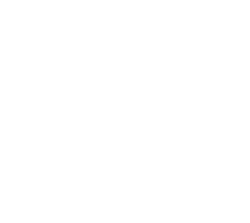 FlyVista Logo